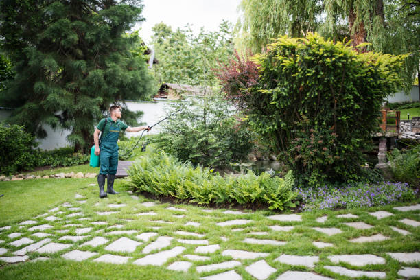 Best Pest Inspection Near Me  in Twin Lakes, CO
