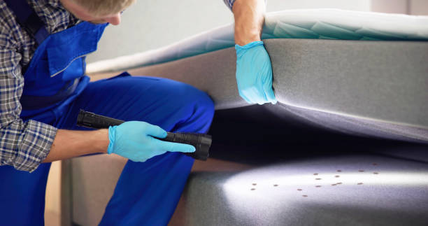 Best Pest Prevention Services  in Twin Lakes, CO