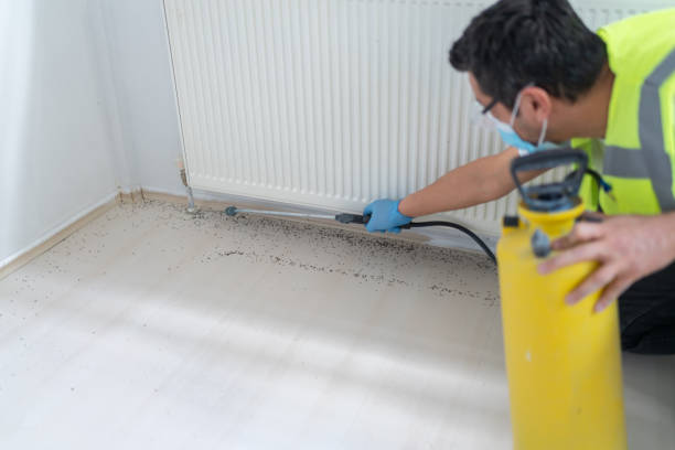 Best Commercial Pest Control Services  in Twin Lakes, CO